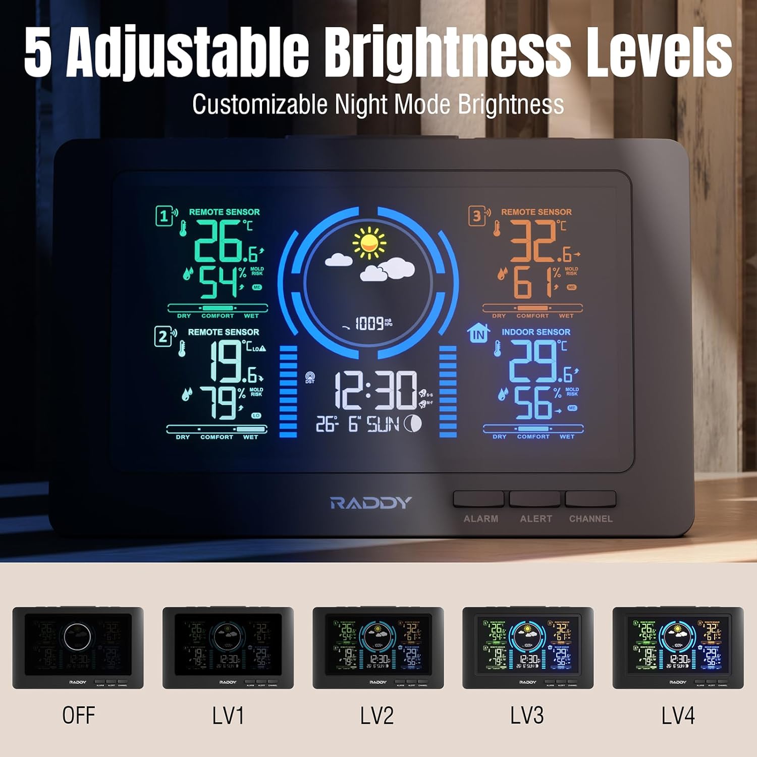 Image showing the Raddy WF-80C display at 5 adjustable brightness levels, from off to level 4.