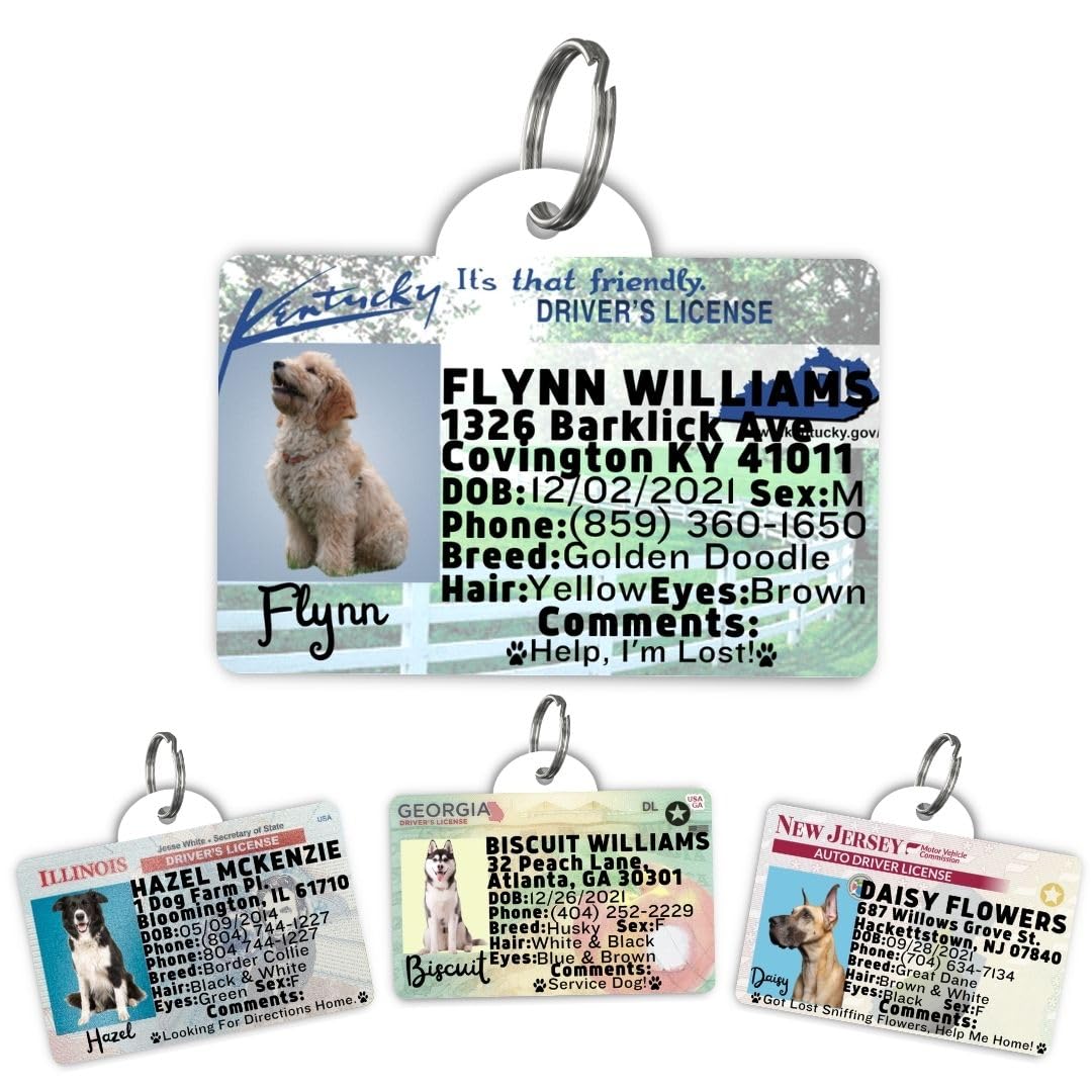 Kentucky Driver License Custom Dog Tag for Pets and Wallet Card - Dog Tags for Dogs - Dog ID Tag - Personalized Dog ID Tags - Cat ID Tags - Personalized Pet ID Tags (Kentucky, Tag)