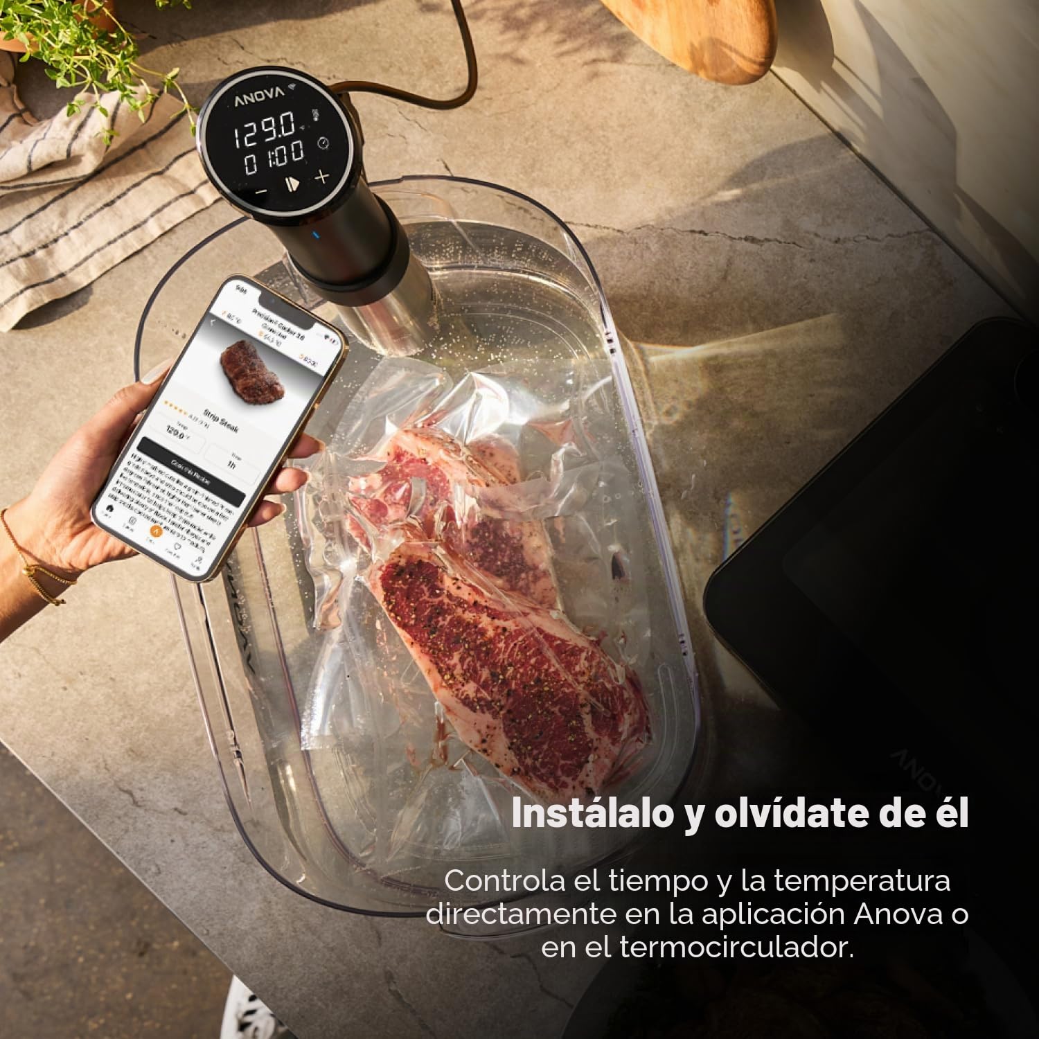 Anova Culinary Sous Vide - Olla de precisión 3.0 (WiFi), 1100 vatios
