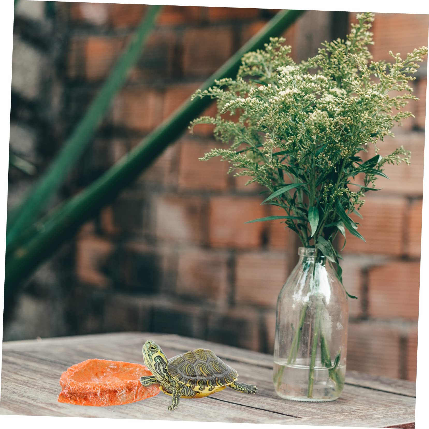 CIYODO Pet Food Feeder Durable Resin Reptile Dish for Turtles Lizards and Snakes Multi Use Terrarium Bowl Water and Food Holder Easy to Clean and Maintain