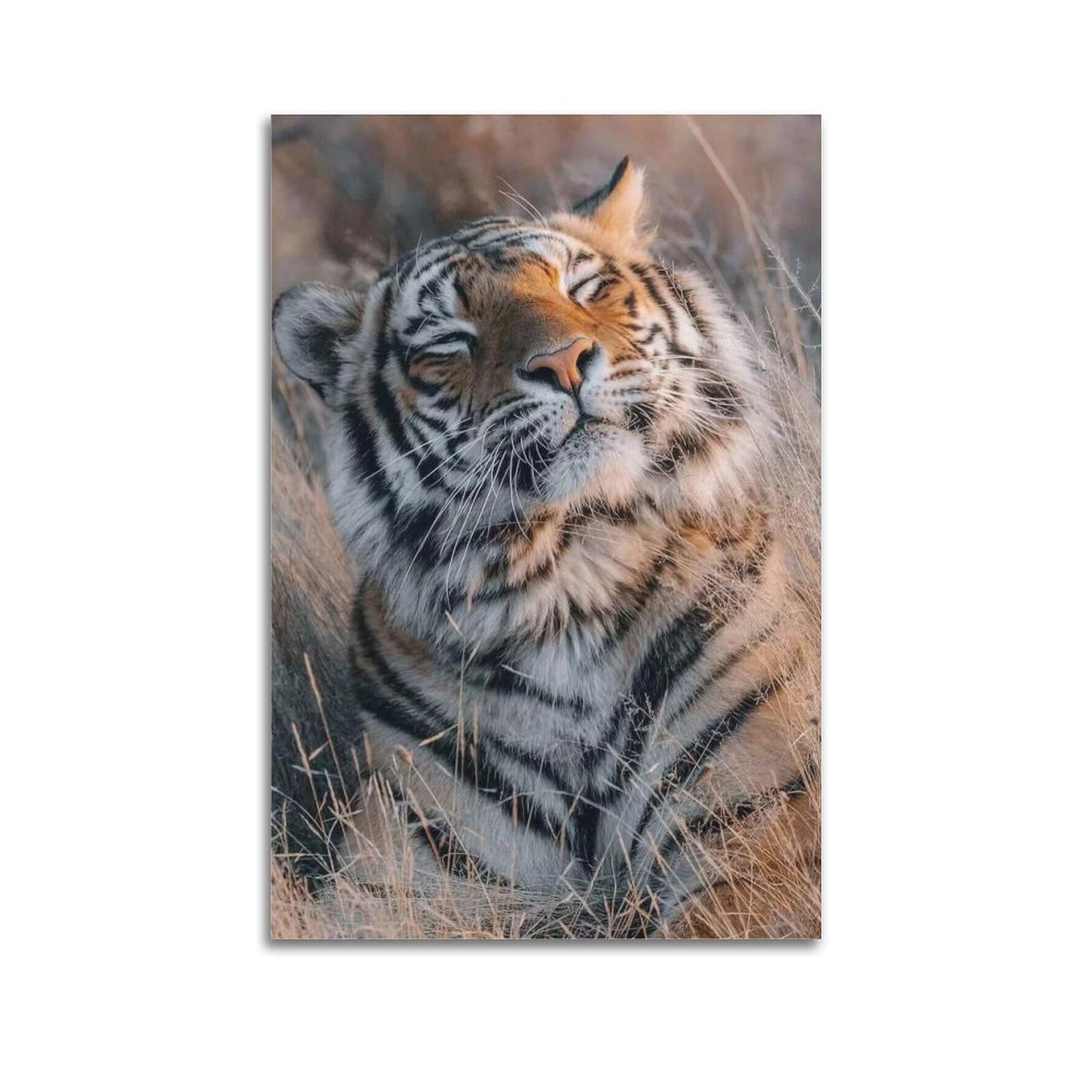 XKUGA Wild Feline Predators Poster Tiger Habitat Modern Decorative Canvas Prints - Ideal Wall Art for Family, Man Cave, Game Room, Boys & Girls Bedroom 16x24inch(40x60cm)