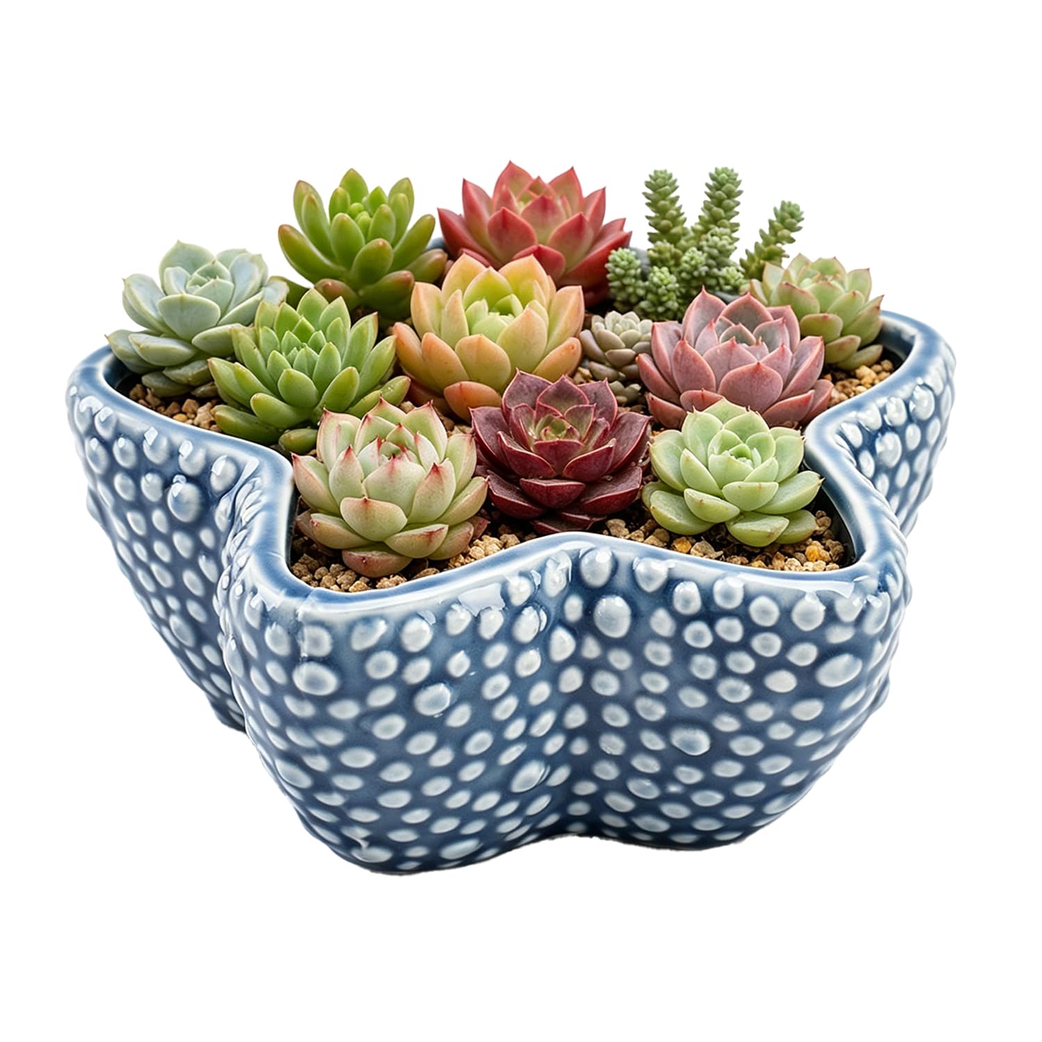 Thaippy Dark Blue Starfish Handmade Premium Ceramic Ocean Theme Planter –Whale, Fish, Seashell & Starfish, Blue Glazed Flower Pot For Indoor/Outdoor, Versatile Home Accent – Decor Organizer & Coastal Sculpture, Whimsical Gift