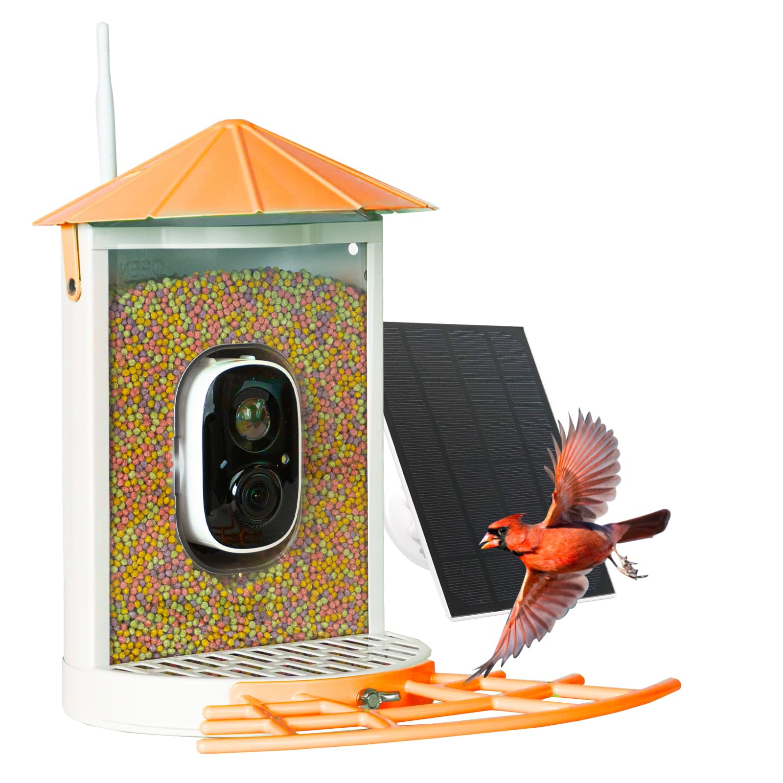 Photo 1 of Bird Feeder Camera Smart: Wireless Bird House with Solar Panel - Motion Activated & Watching HD Bird Video - Metal Squirrel Proof Birdfeeder - Orange