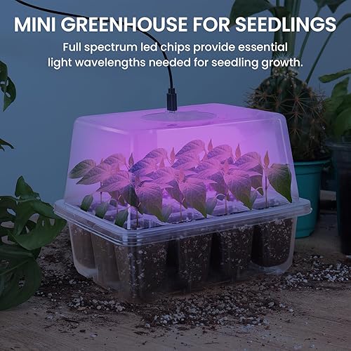 Miniatura 7 de Bonviee Paquete de 5 bandejas de inicio de semillas con luz de crecimiento, kits de bandejas de inicio de plántulas elevadas con cúpulas de humedad