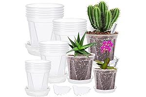 Large Clear Pots for Plants: A Comprehensive Guide to 20Pack 4/5/6/7 inch Nursery Pots