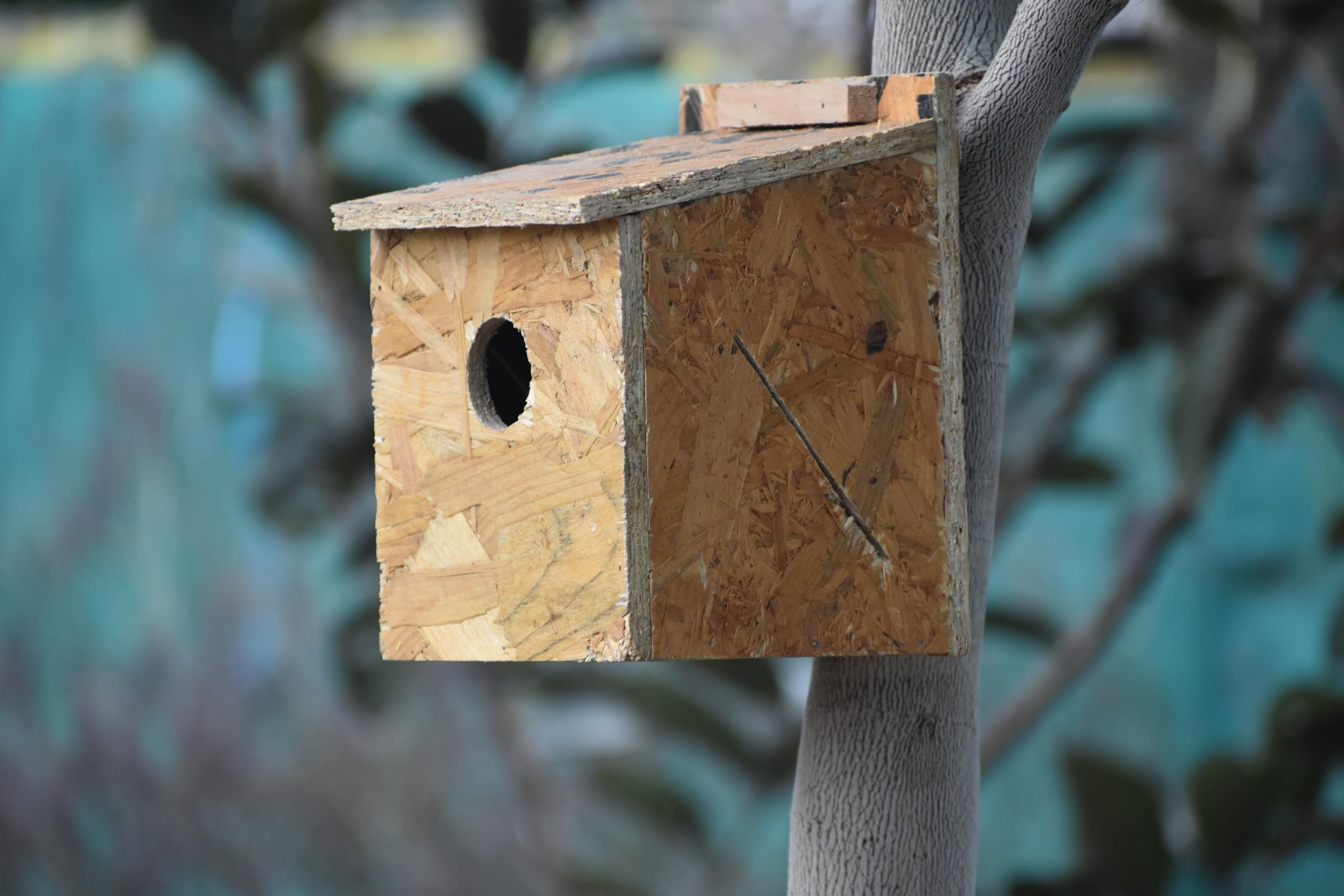 Skybeings Wooden Sparrow Bird House Wall Mount Bird Cage 15 x 15 x 13 cm Square (B0CR9B3CZ5) Amazon Price History, Amazon Price Tracker