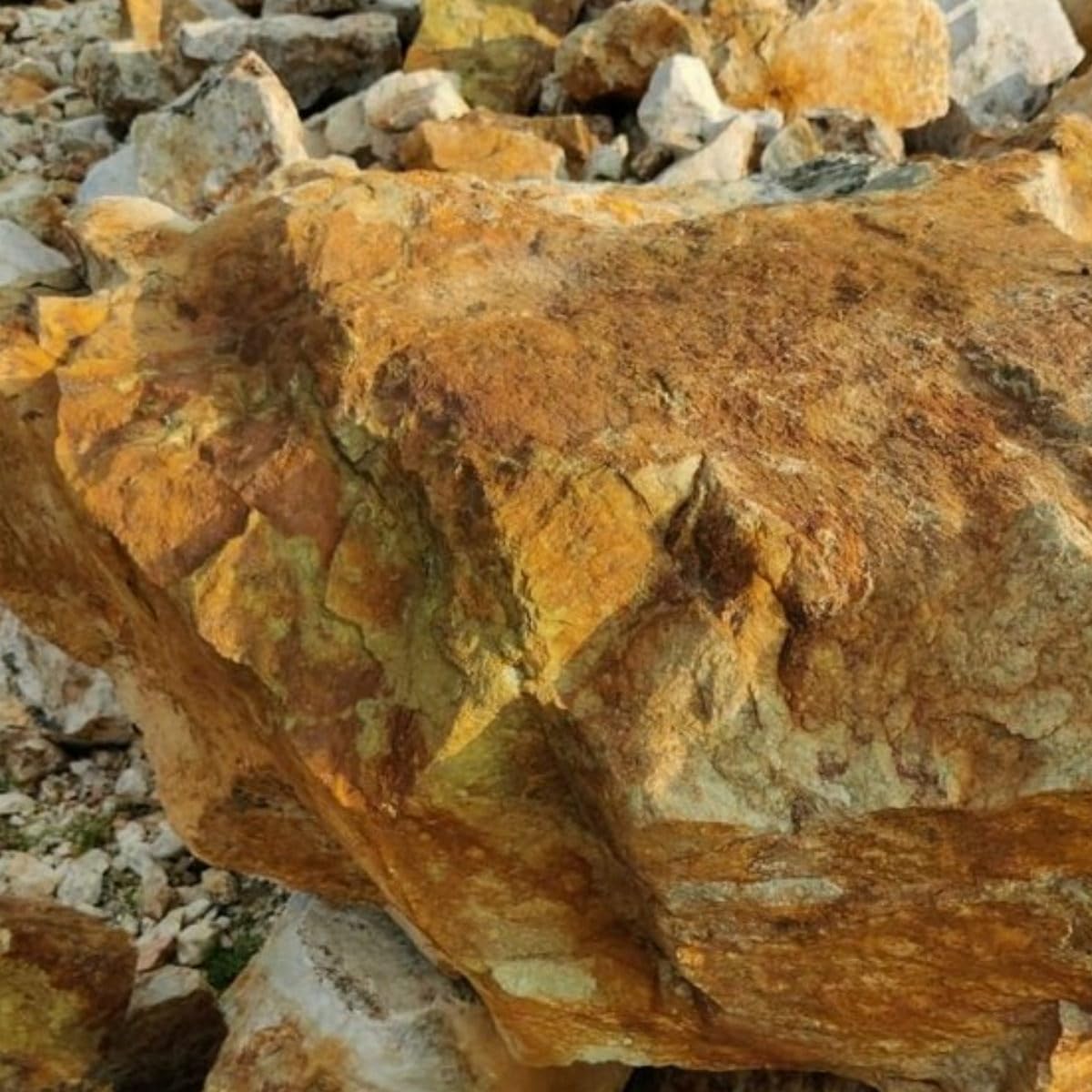 See full amazon price history chart for Hug A Plant | Camel Colour Rock Stone 5kg for Home Decorative|Vase Fillers| Aquarium Fish Tank |Lawn|Multi-Purpose Hug A Plant | Camel Colour Rock Stone 5kg for Home Decorative|Vase Fillers| Aquarium Fish Tank |Lawn|Multi-Purpose (B0CSBBG9HC) Amazon Price History, Amazon Price Tracker