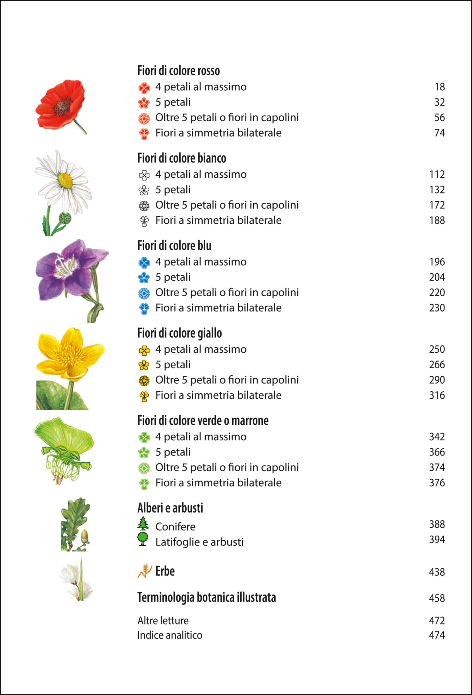Che fiore è questo?