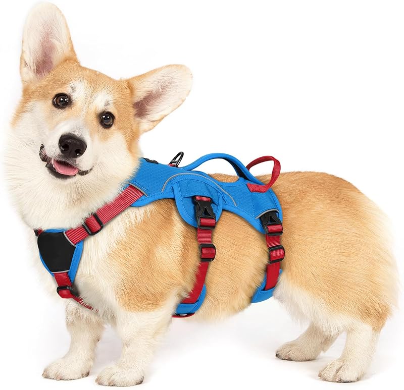 Peitoral Vest para Cães rabbitgoo com Alça de Controle, Ajuste Antifuga e Faixas Refletivas