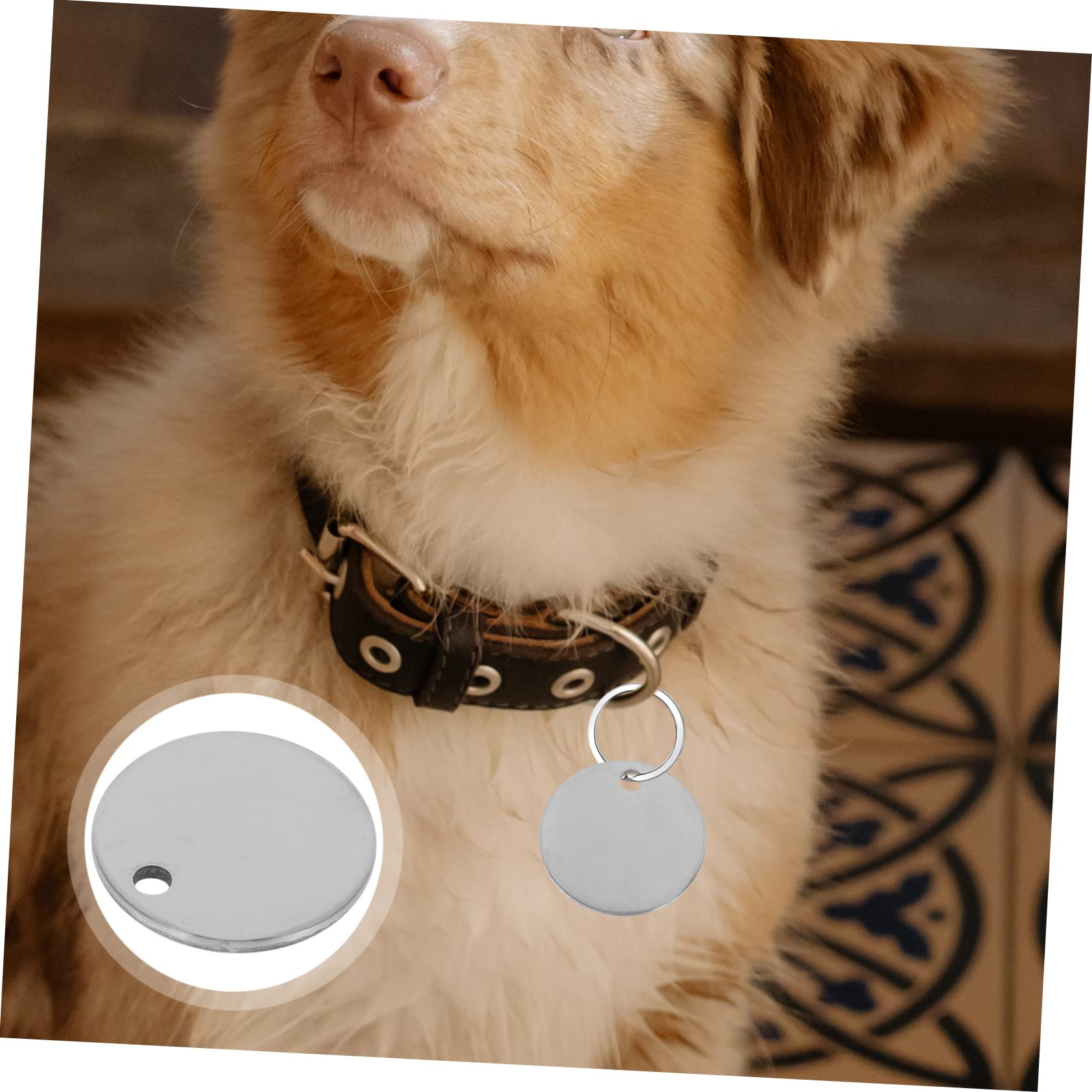 Personalised Engraved Dog Tag ID Name Tags For Cat Puppy Pet Collar Tag Hand Finished In UK - Foto 12