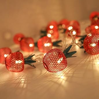 2M/6.6Feet 10LED Iron Apple Fruit Shape String Light Metal Mesh Fairy Lights Battery Operated Twinkle Lamp for Bedroom Wedding Indoor Outdoor Home Party Decoration