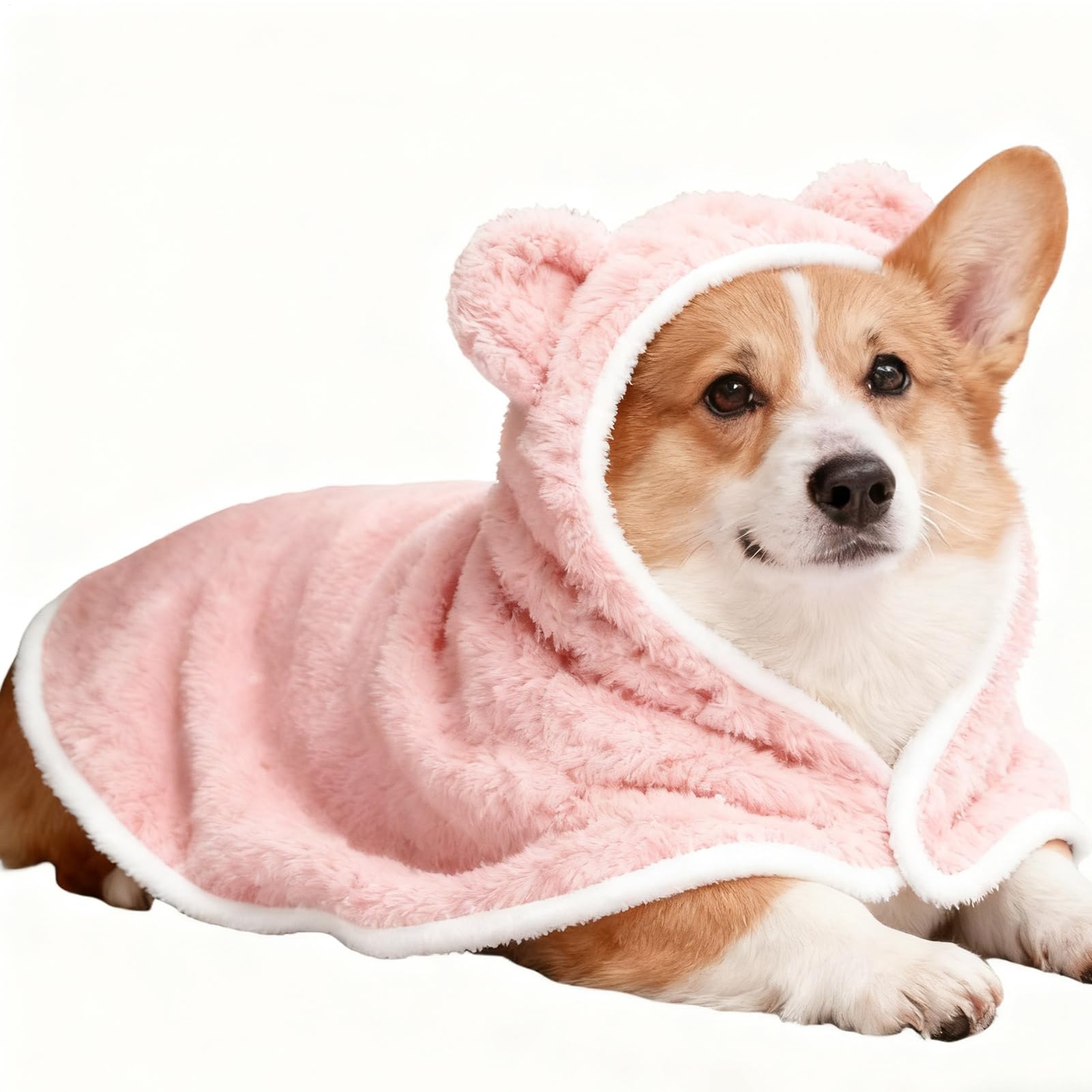 Cape d'hiver pour chiens et chats idéale lors des sorties d'Halloween