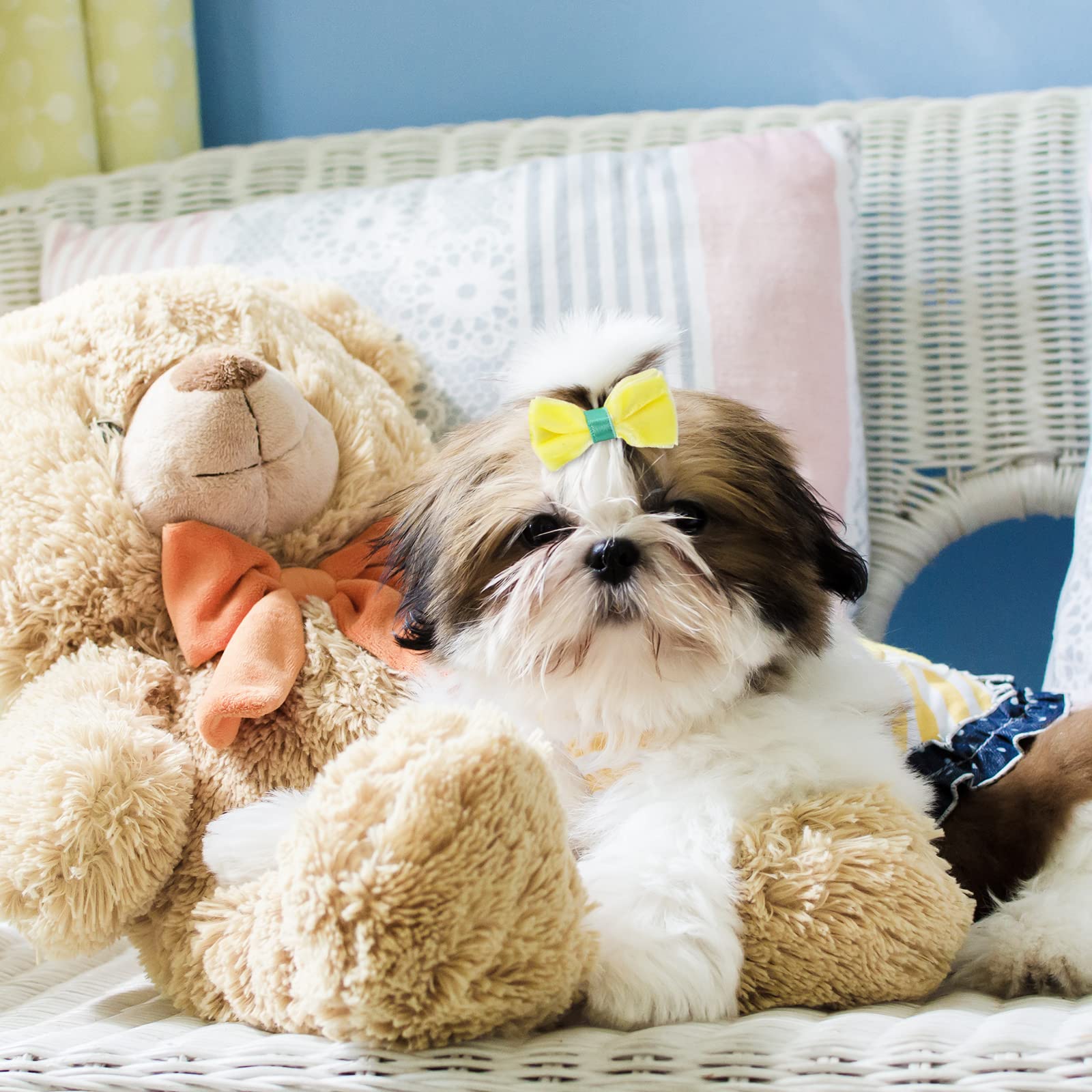 Amazon.co.jp: Whaline 15個 犬用ヘアクリップ ピンク ブルー イエロー