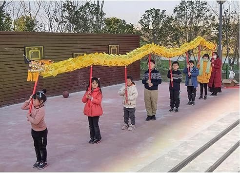 Silk Lion Dance 1m/3m Dragon Dance Traditional Dragon and Lion Dance Props New Year Dragon Dance Set Chinese Lion Dance Head