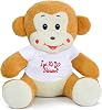 Özgüner Toy 20-25 cm T-Shirt Plush Teddy Bear, 20 cm Teddy Bear, Soft Teddy Bear, Gift for Lover, Teddy Bear, Plush Teddy Bear, Plush Toys, Sitting Bear, Office Gift, Colorful Teddy Bear, Glad You Are, Shirt, Bear Monkey