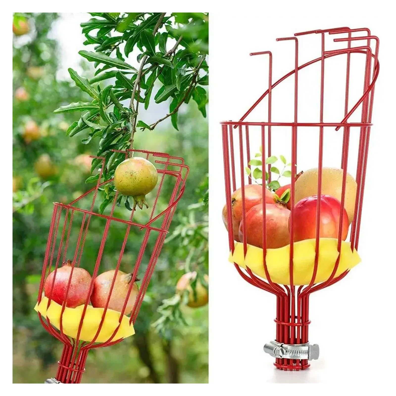 Cueille Fruit Cueille-Fruits à Long Manche avec Panier réglable for Pommes, mangues, poires et avocats - Outil Professionnel for vergers(Red)