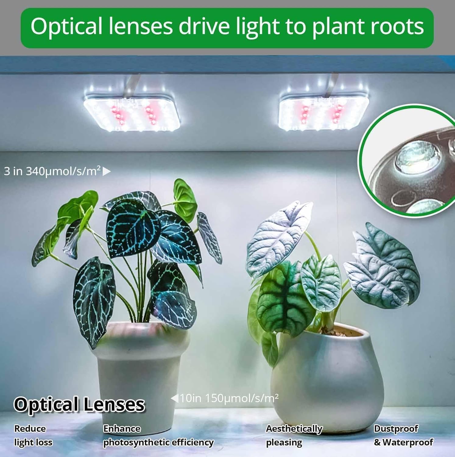 DOMMIA Full Spectrum LED Grow Light for Indoor Plants, 2 Panels 10W with 6/12/16h Timer Dimmable Plant Lights for Flower Veg Plant Growth USB, Daylight White, 2-Pack