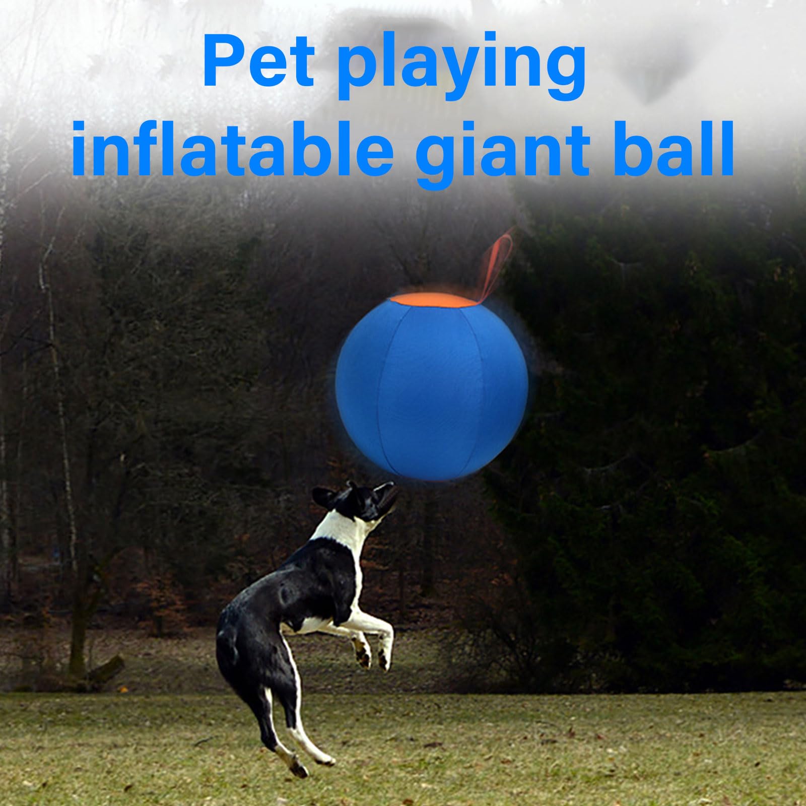 Esfera de juego de pastores para perros para diversión al aire libre con razas como pastores y collies, juguete interactivo para perros