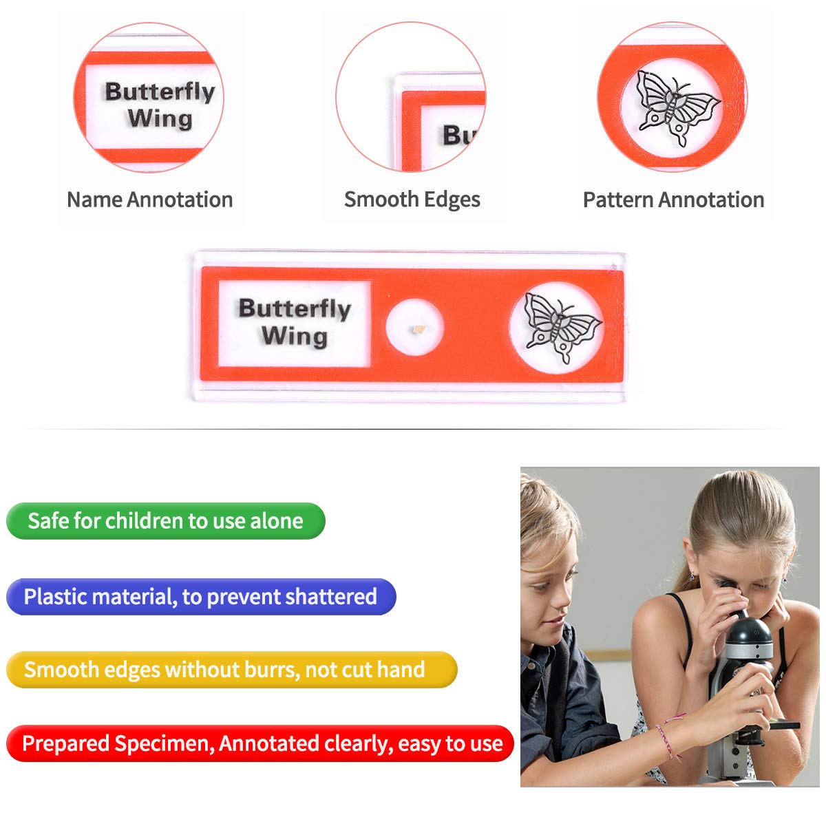 60pcs Plastic Prepared Microscope Slides | Animals, Insects, Plants, Flowers Biological Samples, Biology Science for Students Adults & Kids