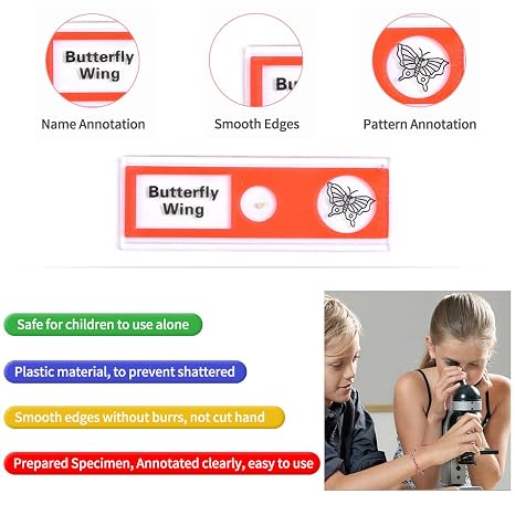 48pcs Plastic Prepared Microscope Slides
