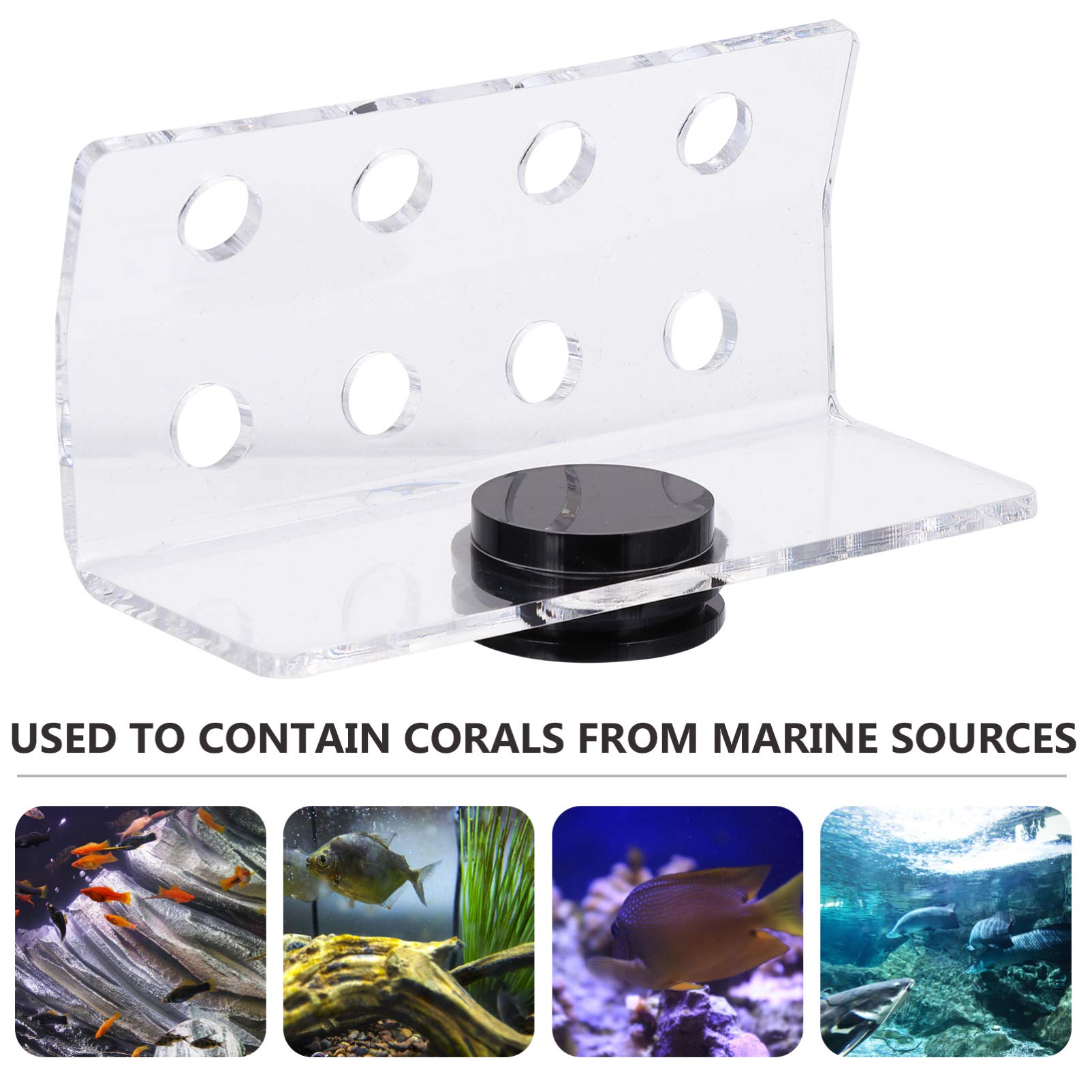 POPETPOP Splinter Magnetic Coral Holder Coral Frag Rack 8 Holes Acrylic Aquarium Fish Tank Glass for Aquarium Fish Tank Coral Rack Stand Support Holder Debris - Image 3
