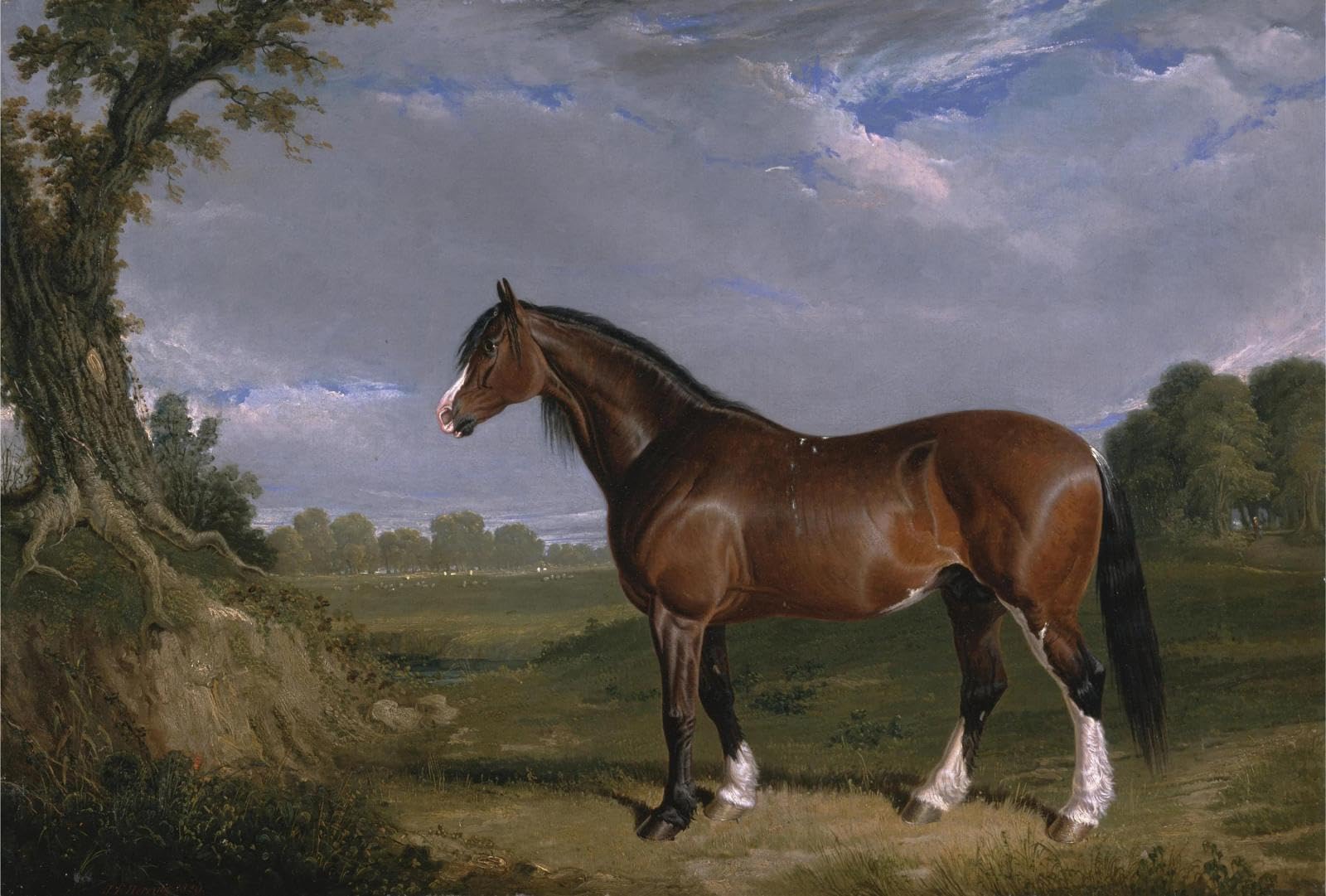 Baibexing Vintage Horse Canvas Painting Wall Art Classic Equestrian & Farm Horse Poster Prints For Rustic Home Decor A2 30X40Cm Unframed
