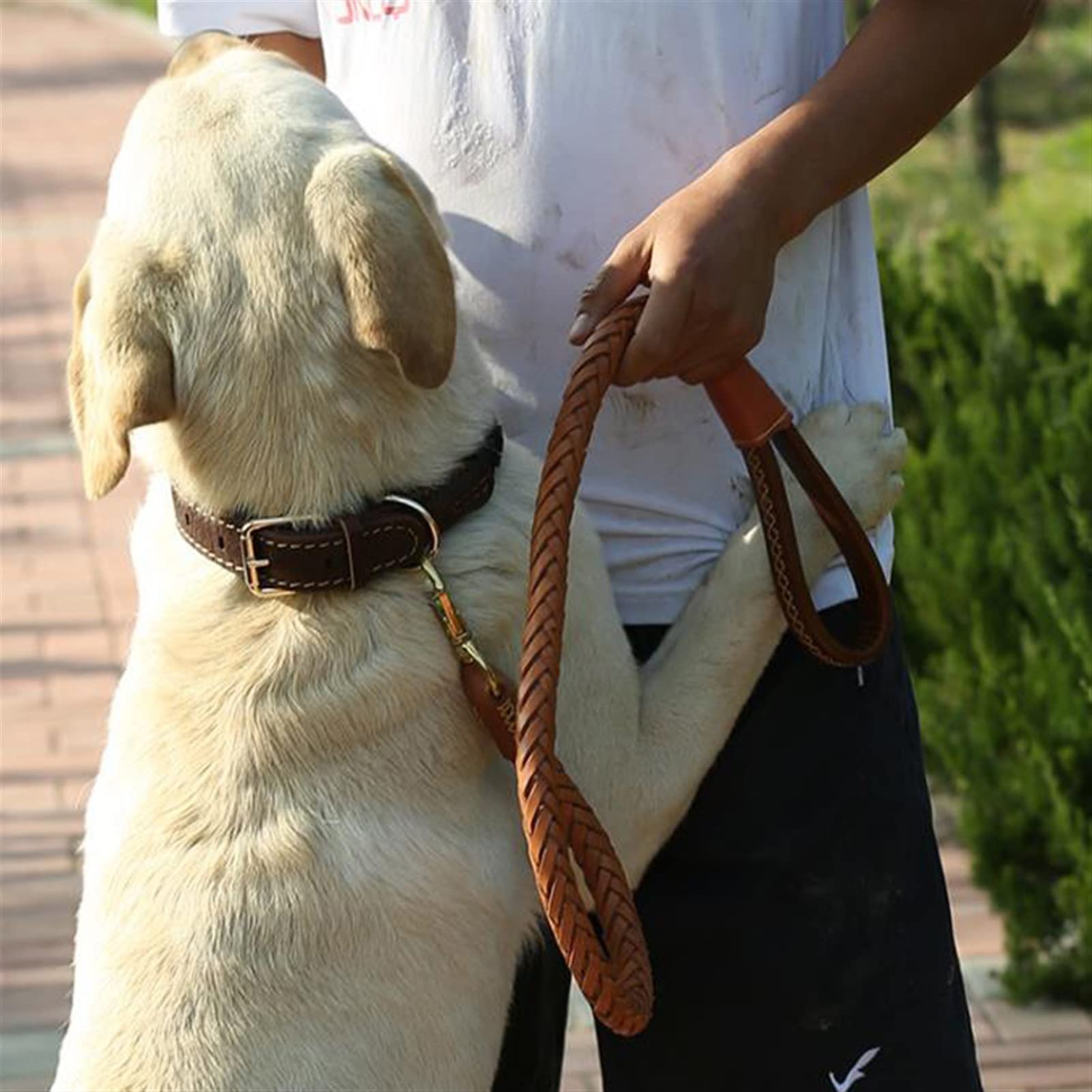 Correa De Cuero Genuino For Perros, Cadena Trenzada For Perros, Hecha A Mano, Gruesa, Extra Ancha, Cinturón De Entrenamiento For Mascotas For Husky Golden Retriever