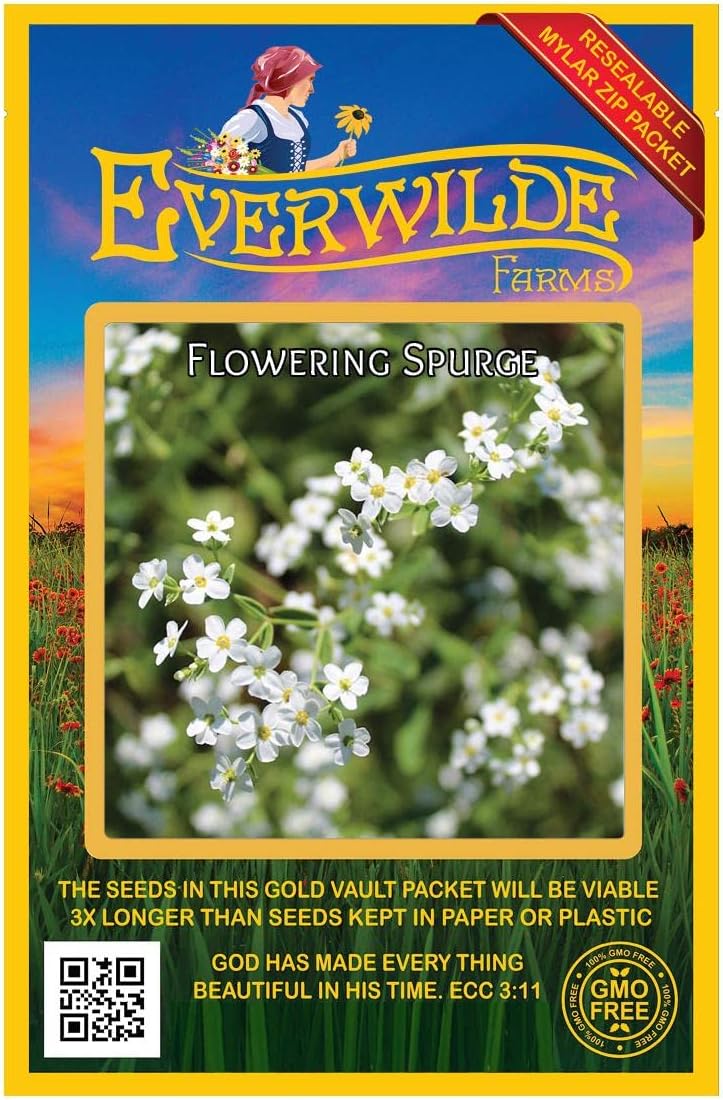 Everwilde Farms - 1 Oz Flowering Spurge Native Wildflower Seeds - Gold Vault