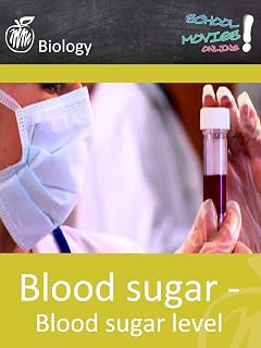 Blood sugar - Blood sugar level - School Movie on Biology