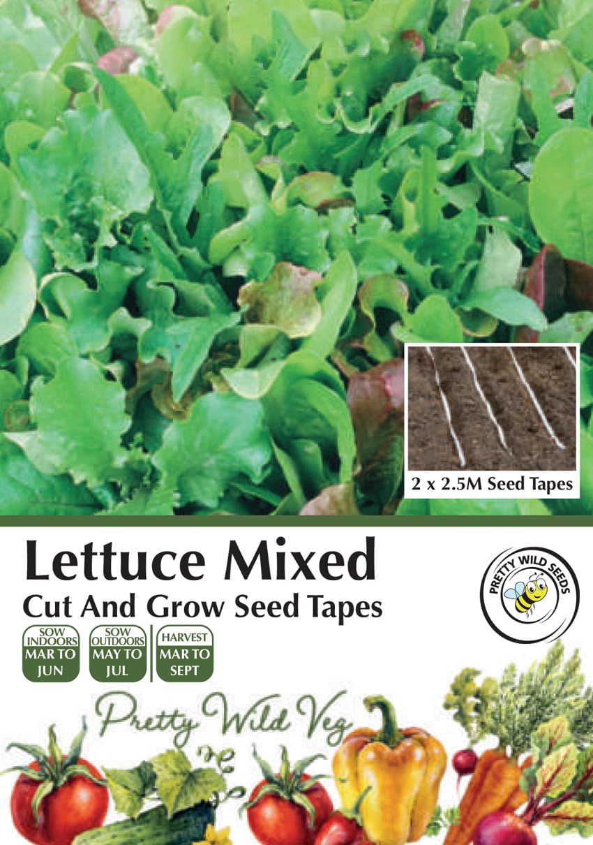 Cucumber Cucamelon Seeds in Pictorial Packet from a UK Seller Cute Fruits with Unique Crunch & Flavour — view 75