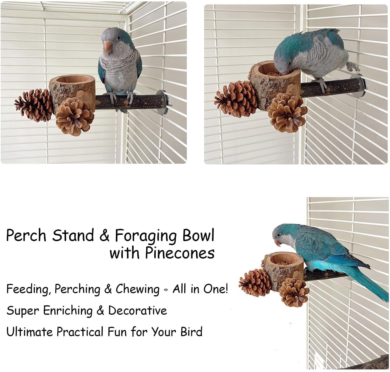 2 Pcs Bird Perch with Safe Bowl Wood & Pinecones - Bird Toys Chew Toys 100% Natural & Durable for Cockatiel, Conure, Budgie, Lovebird, Parakeet - Birdcage Accessory for Foraging & Oral Health