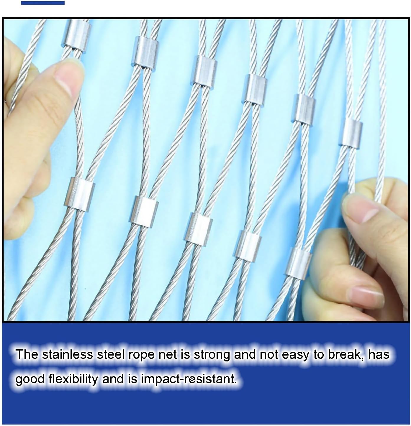 オールドノリタケ 21．9㎝ ライチョウ紋金盛り皿 雉 キジ 黒雷鳥 1