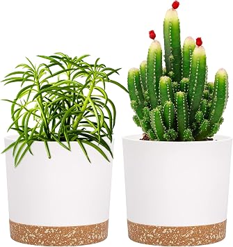 QCQHDU 5 inch Plant Pot, 2 Pack Planters for Indoor Plants with Drainage Holes & Saucer, Outdoor Flower Pots Home Garden Modern Decor