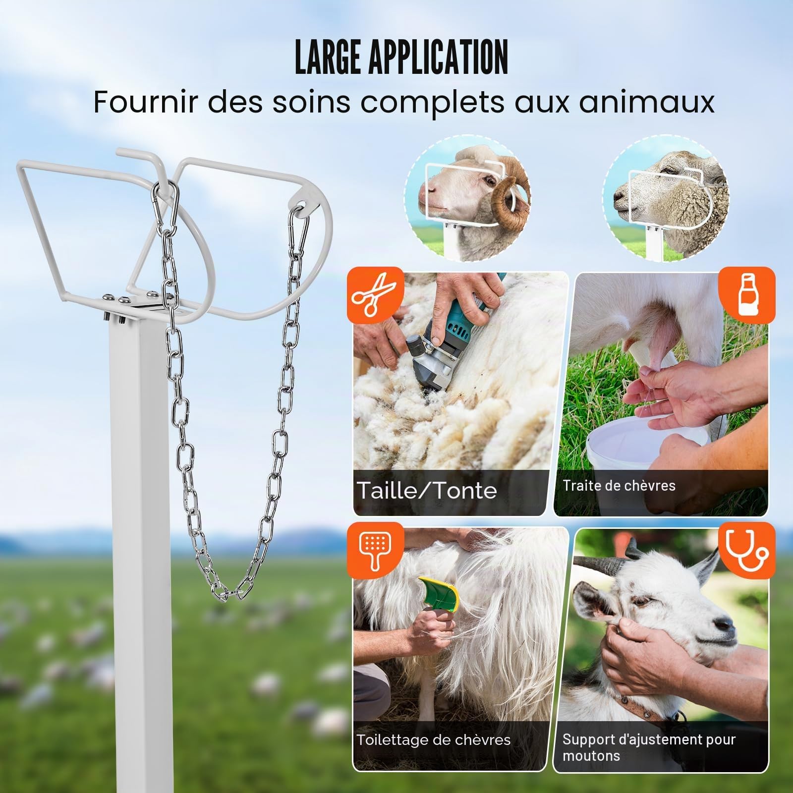 VEVOR Support pour chèvres et moutons, 1195x584 mm, support pour bétail, hauteur réglable 533-838 mm, support en métal pour traite tonte du bétail, charge 226 kg, avec têtière et boucle de nez, blanc