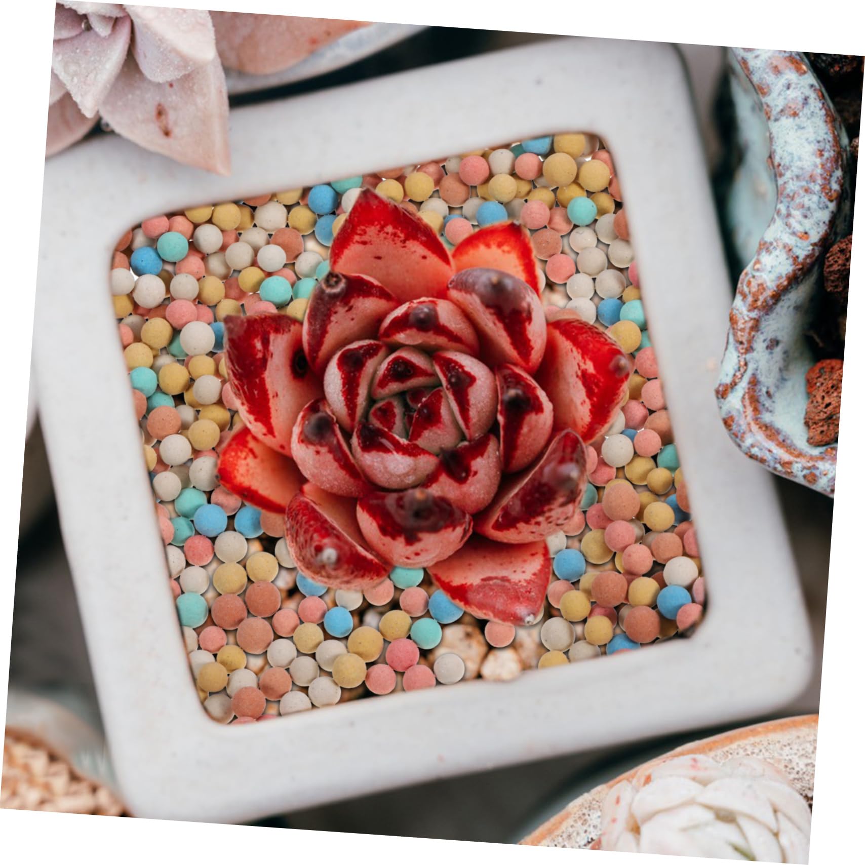 Granulés de Céramsite pour Pots de Fleurs, 2 Paquet 500 G