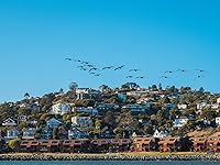 Review Image by Tony Tony