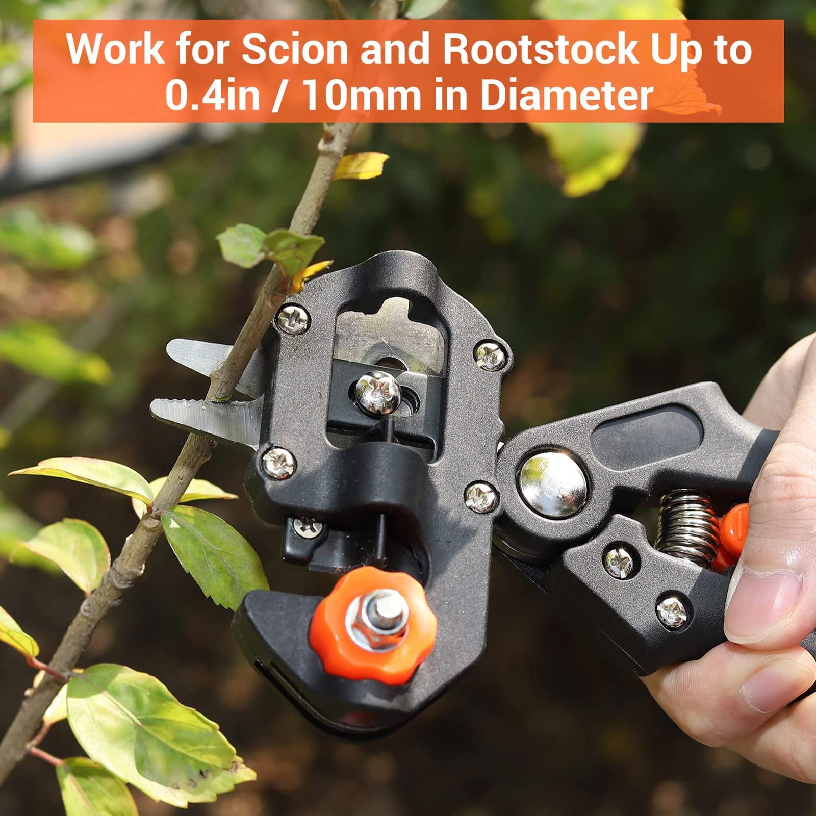 Forbici Innesto Professionale, Giardino Innesto Kit di Attrezzi per Efficiente Potatura e Innesto, con Nastri per Innesto e Lame di Ricambio, per Alberi da Frutto/Pianta/Ramo, Garden Grafting Tool