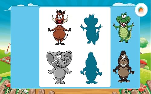 Zoo Zoom Shapes