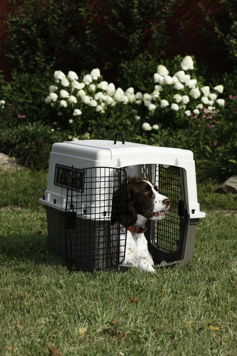 Pet Lodge® Two Door Dog Crate | Designed for Air Transport | Side Door Dog Kennel | Easy to Clean Pet Crate | for Pets Up to 50 lbs | Medium