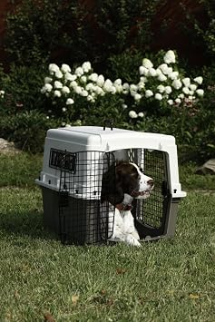 Pet Lodge Two Door Dog Crate | Designed for Air Transport | Side Door Dog Kennel | Easy to Clean Pet Crate | for Pets Up to 50 lbs | Medium