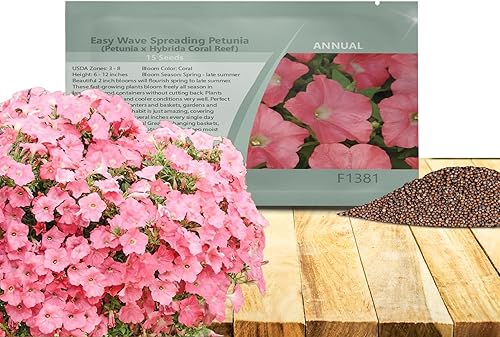 Outsidepride 15 semillas anuales de arrecife de coral Easy Wave Petunia propagación de semillas de flores para plantar