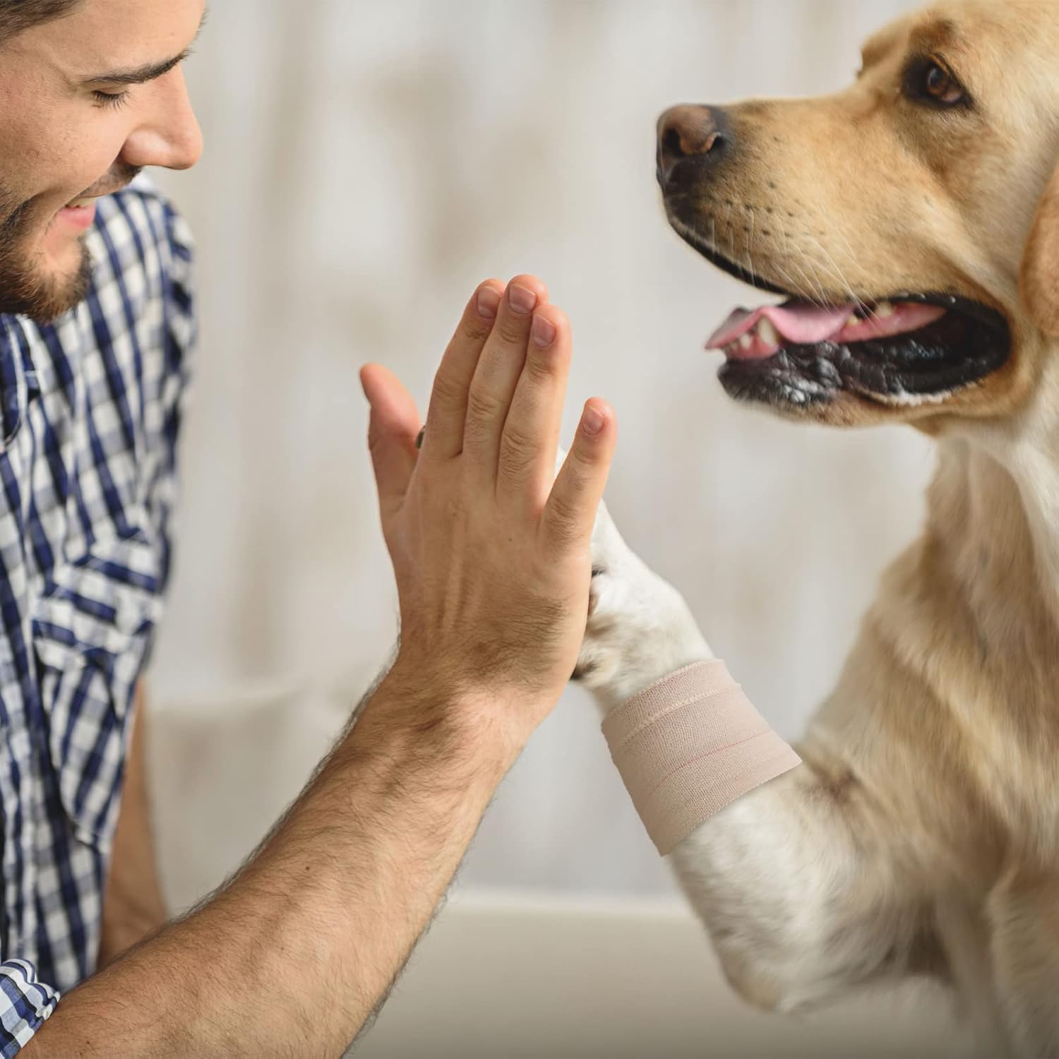 30 Rolls Adhesive Elastic Tape Bandage Tape Self Adhesive Wrap Elastic Flexible Stretch Bandages for Sports Support Animal Pets(2 Inch x 5 Yard)