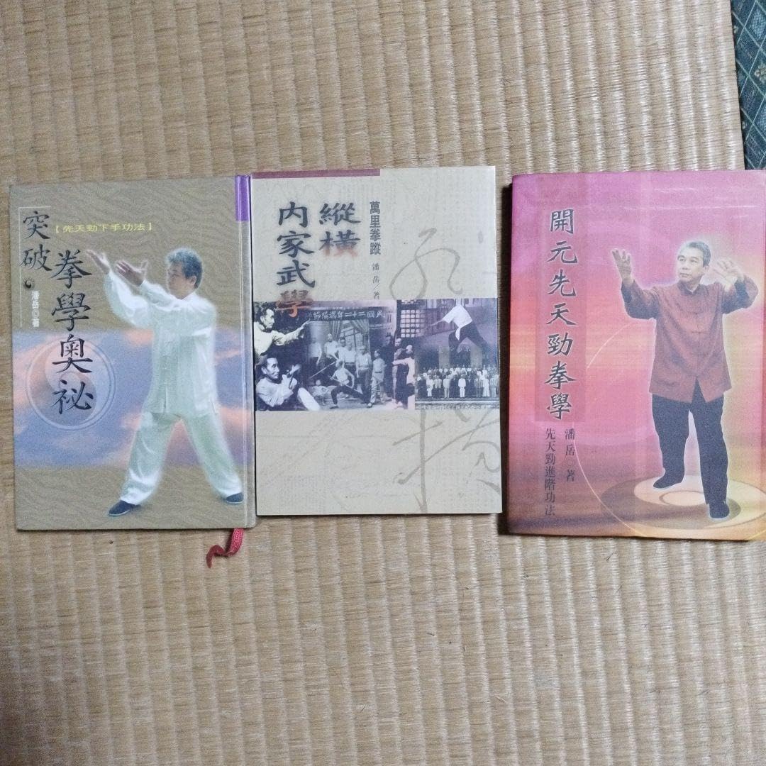 縦横内家武学・開元先天勁拳學・突破拳學奥秘 3冊セット 縦横内家武学・開元先天勁拳學・突破拳學奥秘 3冊