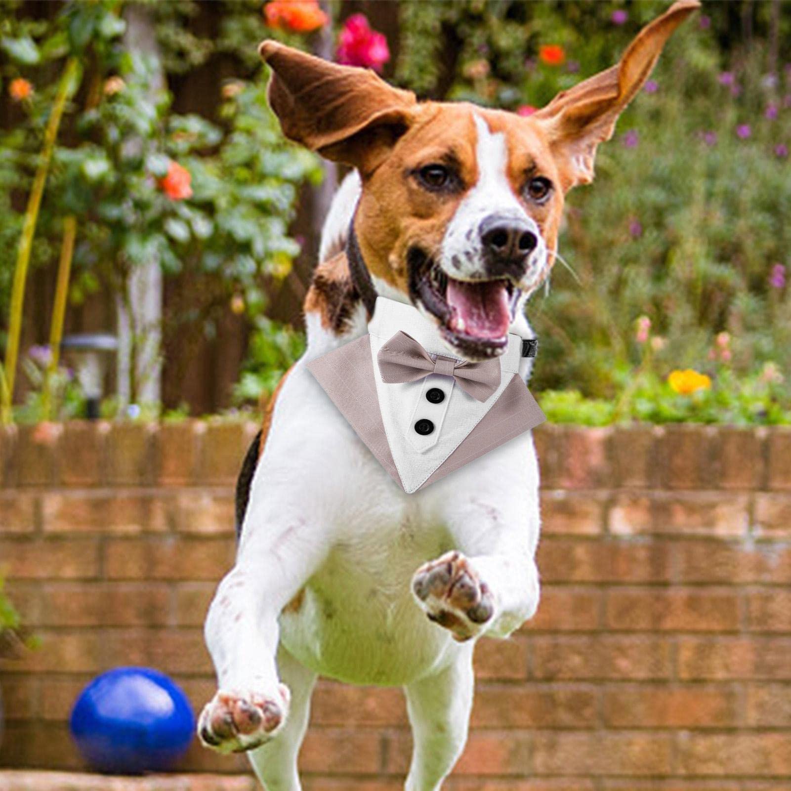 Set 4 Collari Per Gatti Con Bandana E Papillon - Regolabili, Campanella, Per Cani Piccoli - Foto 9