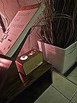 Review Image by Amazon Customer
