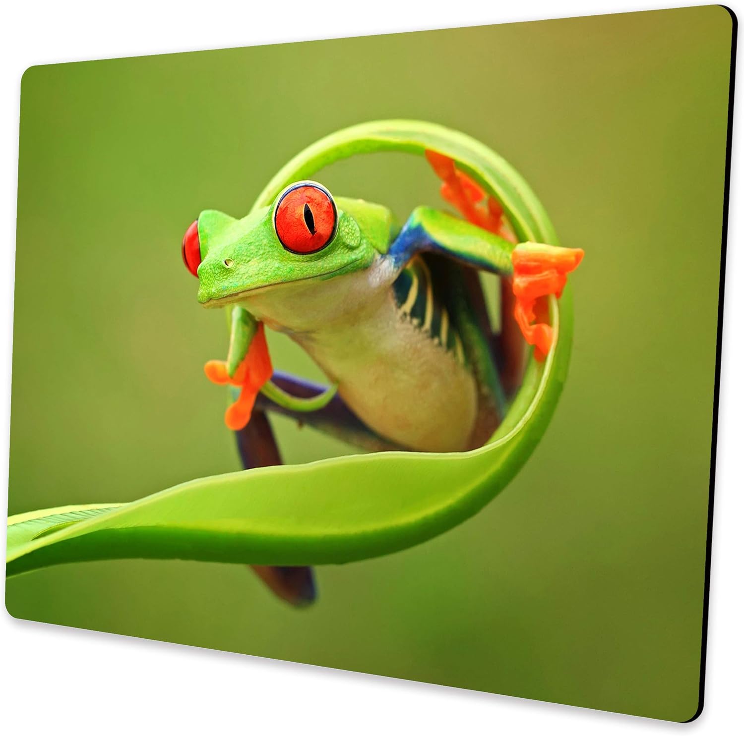 Green Mouse Pad Cute Frog Design Computer Laptop Mouse Pad Kawaii Office Decoration with Anti-Slip Rubber Base Washable Small Mousepad 9.5 X 7.9 Inch