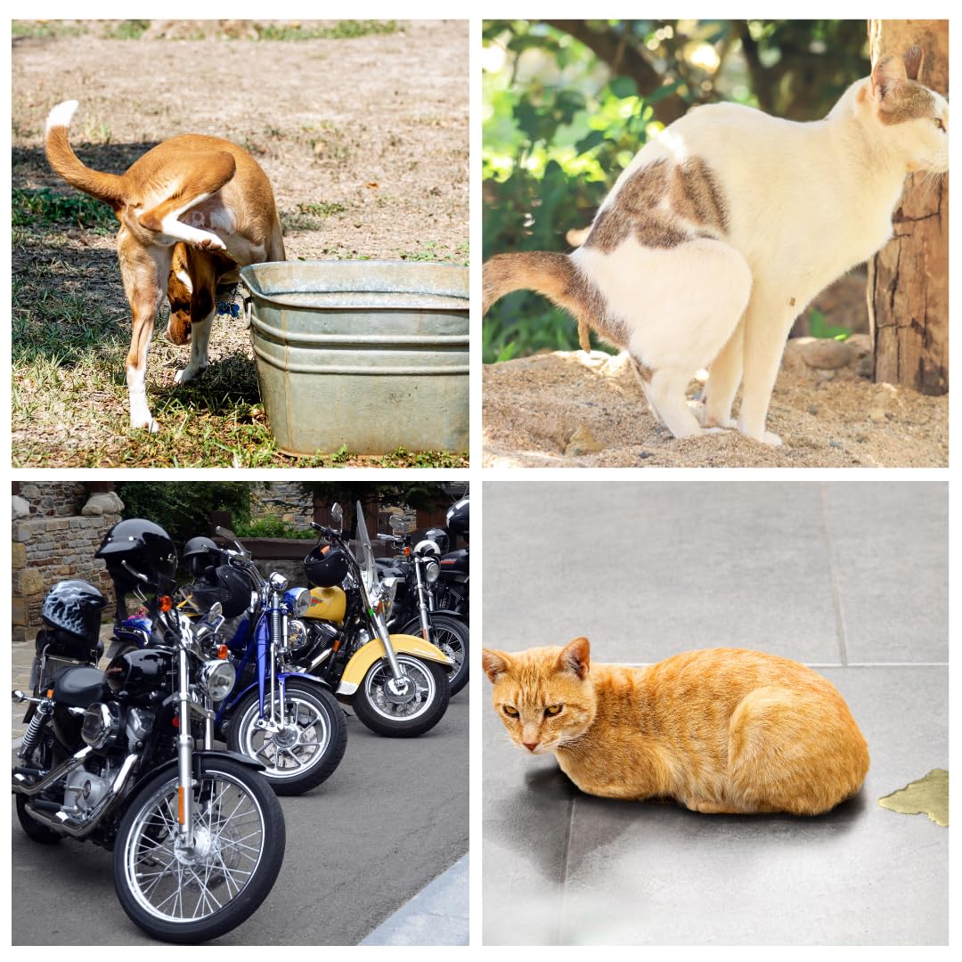1X750 ml Anti orines Repelente ahuyentador de Perros y Gatos educador contra orin Perros para Perros Gatos ecológico deshabituante Stop orines contra los Malos hábitos de orinar