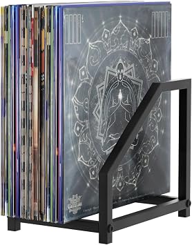 Metal Record Stand for Tabletop Holds 40 LPs, Vinyl Record Storage Holder