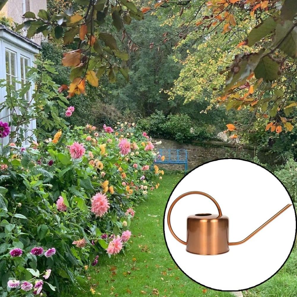 Arrosoir décoratif couleur cuivre 1,275 g – Bec verseur en col de cygne pour un arrosage rapide et facile des plantes d'intérieur