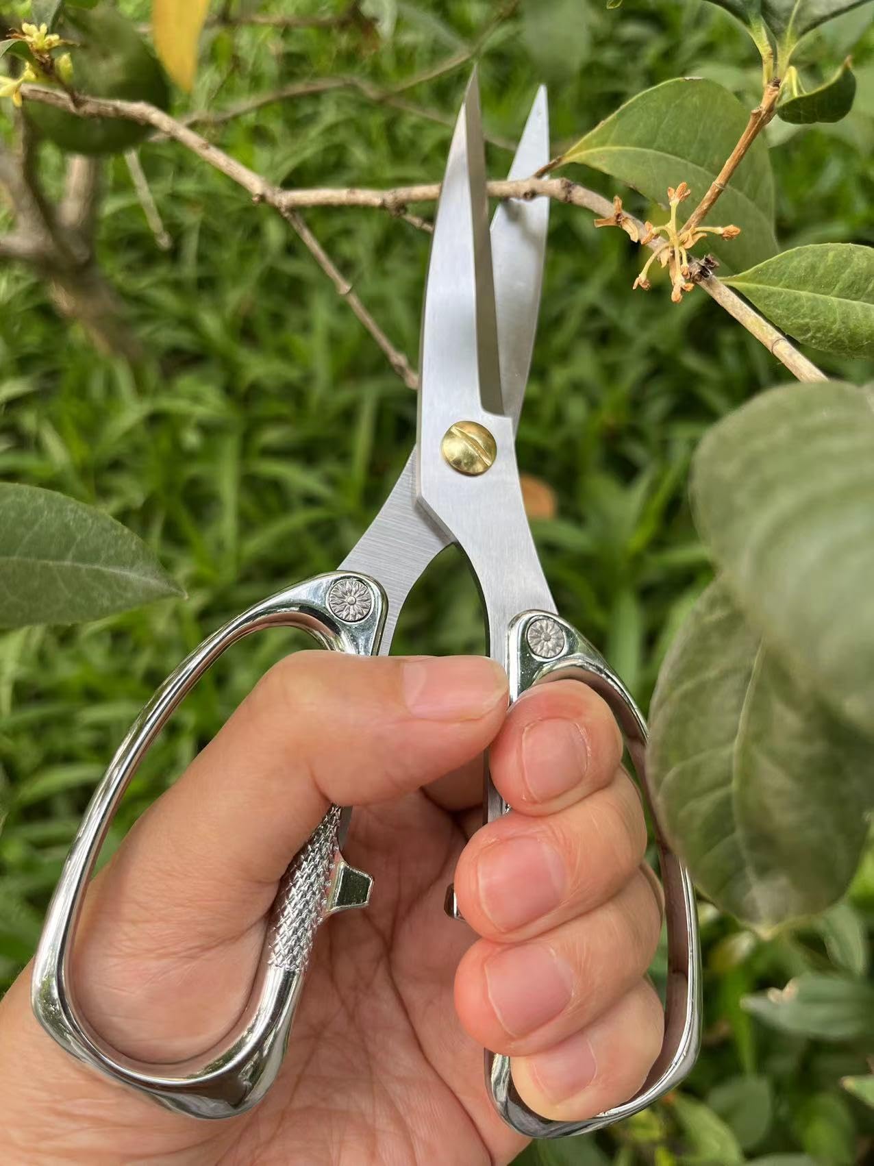 Amazon.com : Horsvill Indoor Plant Shears Bud Trimming Scissors